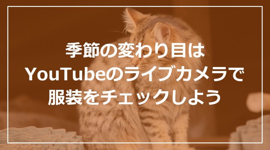 季節の変わり目はYouTubeのライブカメラで服装をチェックしよう